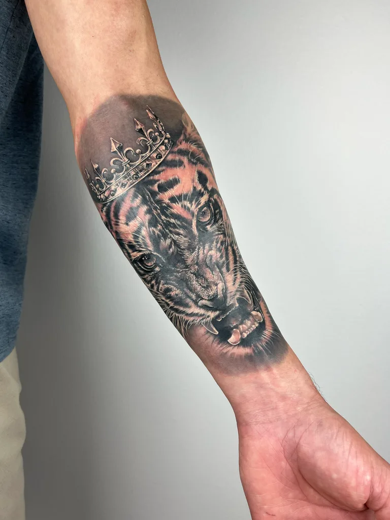 Tiger crown tattoo design for men, realism style, on the forearm, roaring with a crown on its head, in black and grey ink