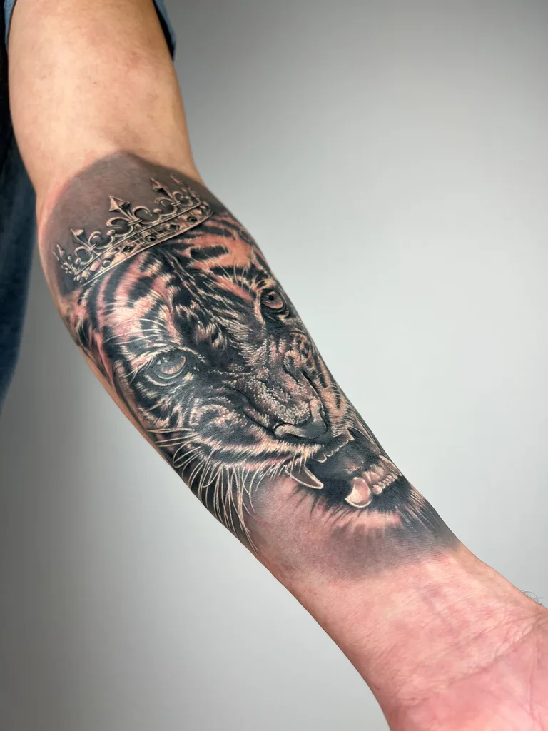 Tiger crown tattoo design for men, realism style, on the forearm, a snarling tiger wearing a crown, in black and grey
