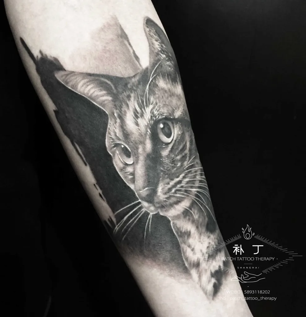 Cat portrait tattoo design for women, realism style, on the forearm, with intense eyes looking forward, in black and grey with white highlights
