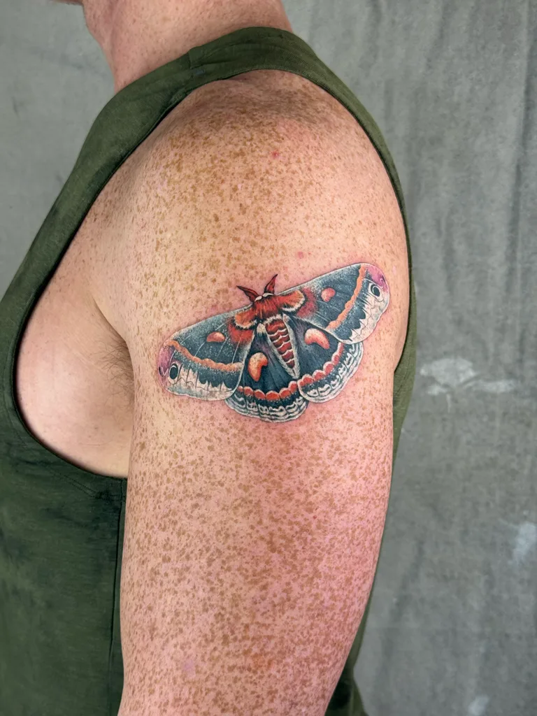 Cecropia moth tattoo design for men, realism style, on the upper arm, with vibrant blue and orange wings, perched across the arm